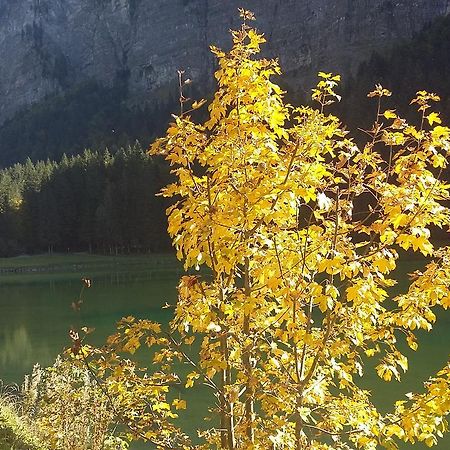Logis Hotel Les Sapins Montriond Dış mekan fotoğraf
