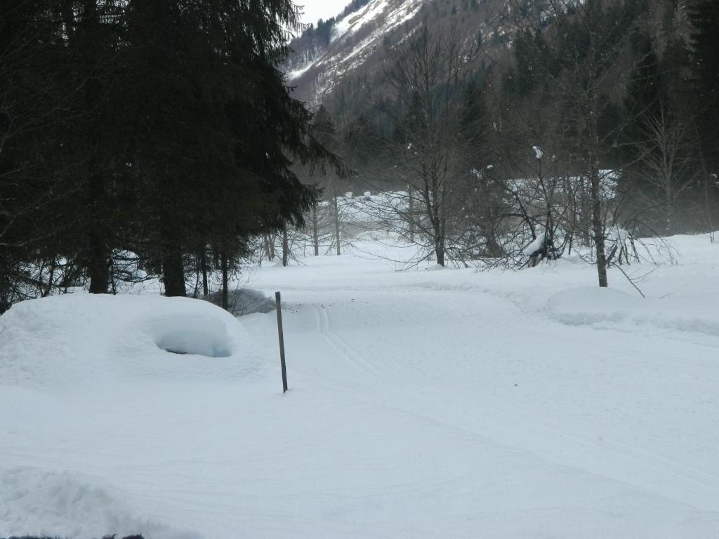 Logis Hotel Les Sapins Montriond Dış mekan fotoğraf
