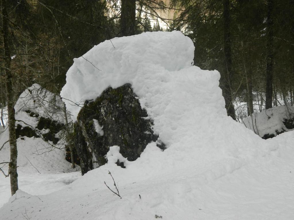 Logis Hotel Les Sapins Montriond Dış mekan fotoğraf