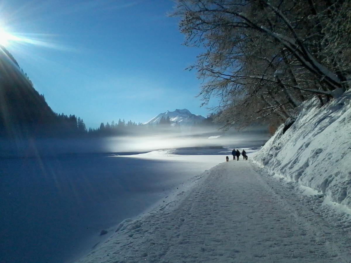 Logis Hotel Les Sapins Montriond Dış mekan fotoğraf