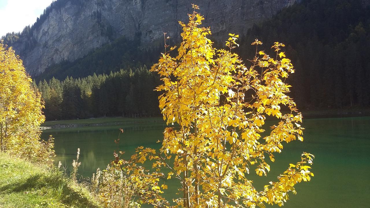 Logis Hotel Les Sapins Montriond Dış mekan fotoğraf