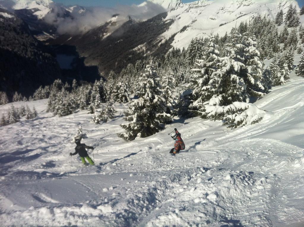 Logis Hotel Les Sapins Montriond Dış mekan fotoğraf